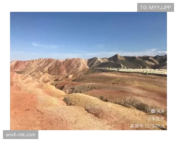 雷吉纳防线固若金汤，状态回升彰显防守新高度