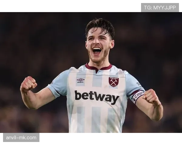 赖斯是否只是纯防守型中场?战术角色与全能性解析